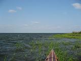 Outer Banks 4 Pea Island 005